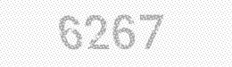 Visual security code — type the characters shown in the image